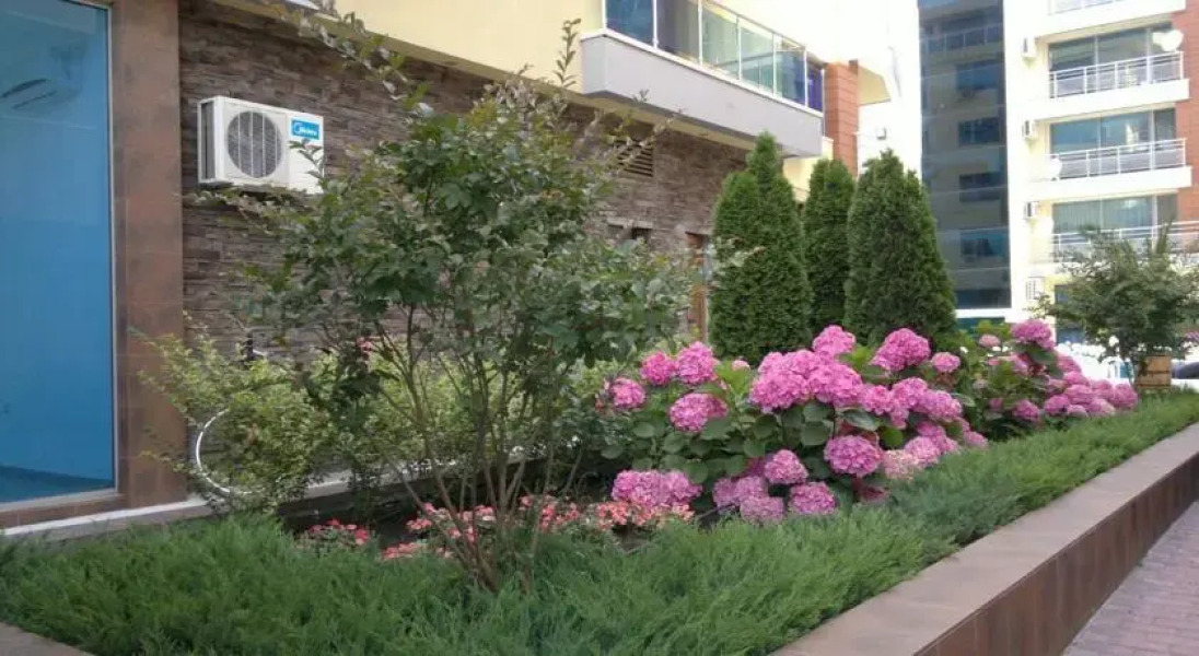 Elizabeth Apartments