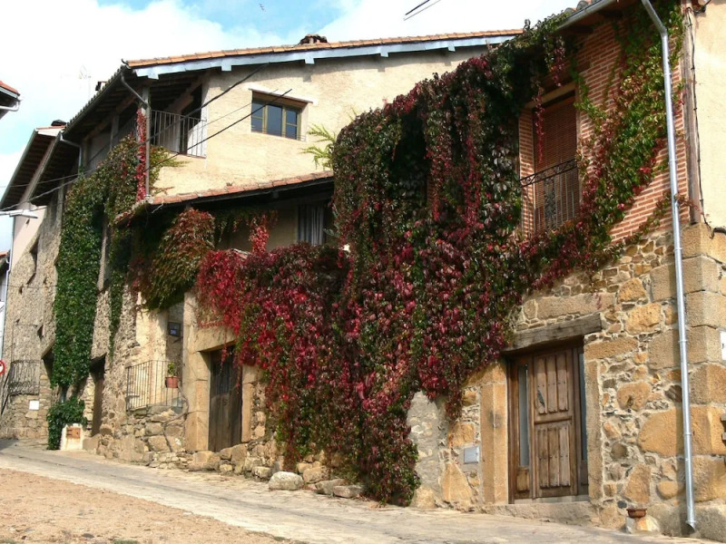 Casa Rural El Lagar