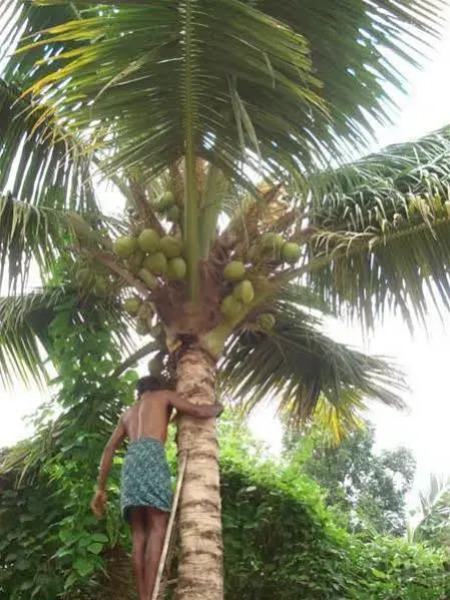 South Canal Holidays Guest House