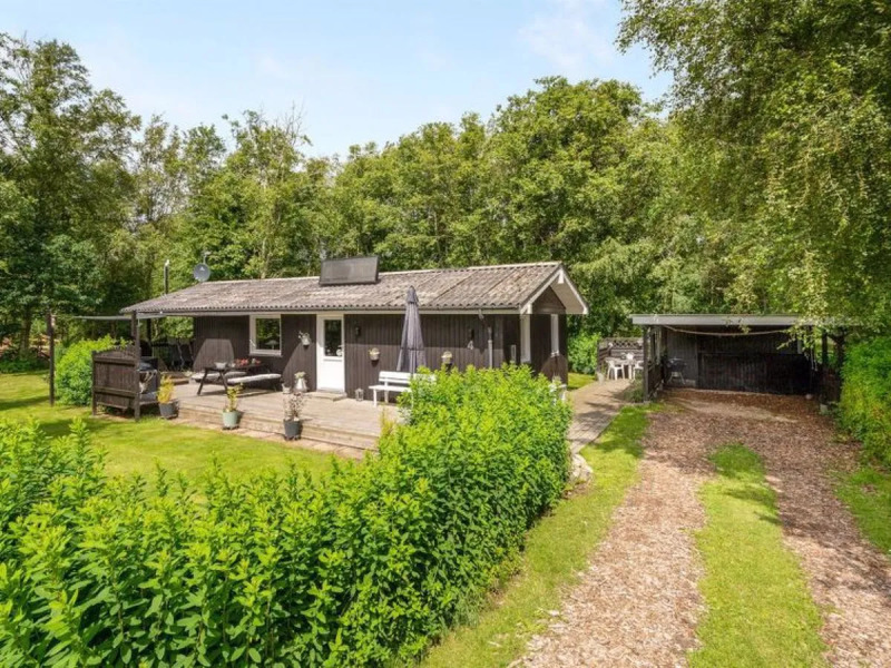 "Derik" - 400m to the inlet in The Liim Fiord