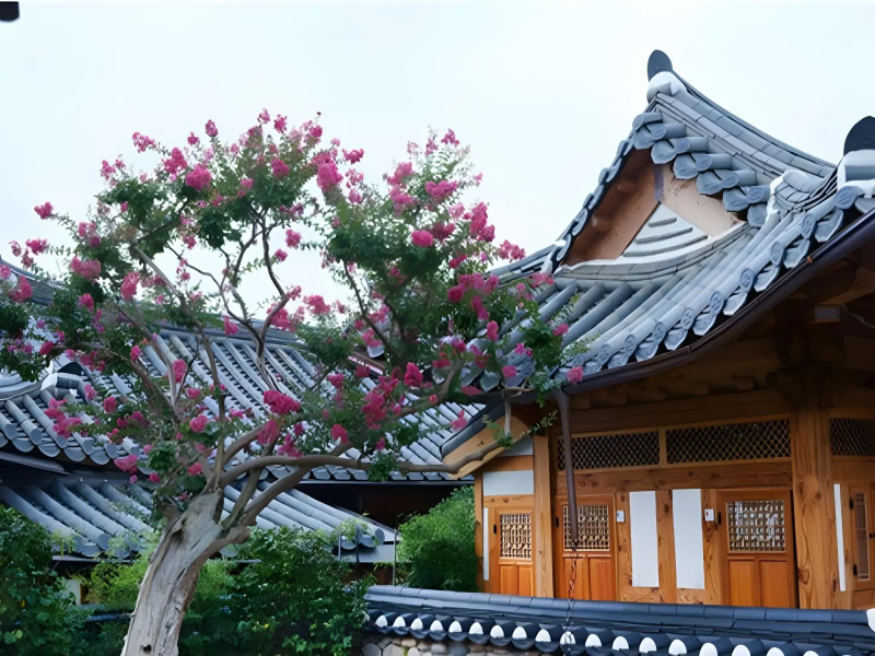 Dajeong Guesthouse - Hostel