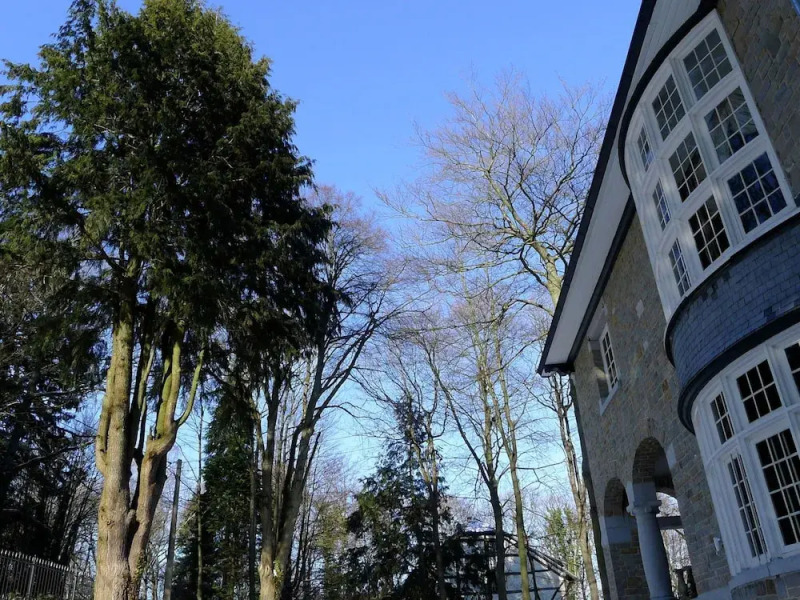 Spacious Spa Villa With Garden