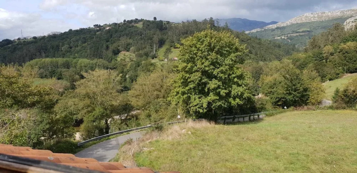 El Búho de la Remolina