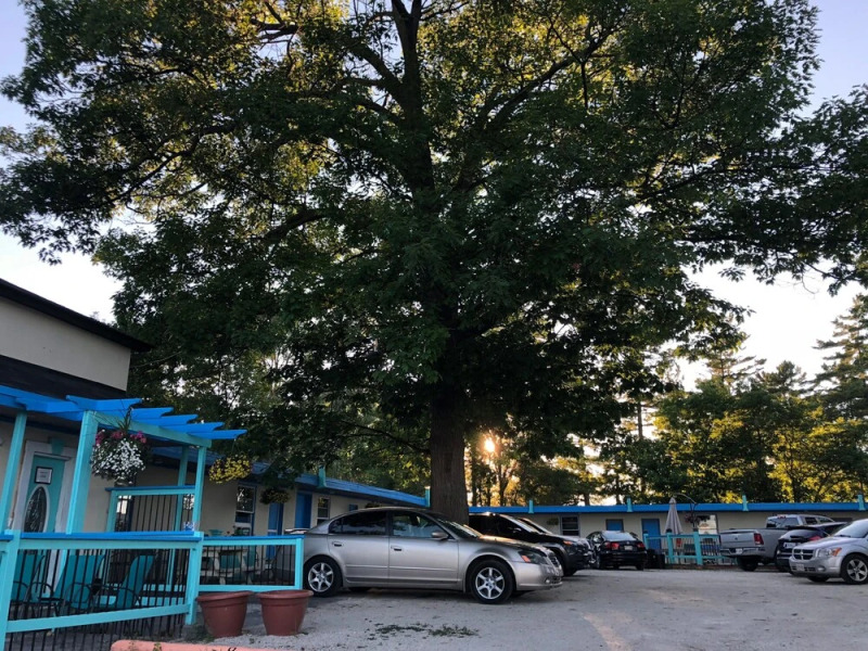 Beachfront At Beach1 Motel