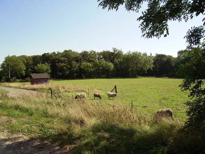 Rustic Holiday Home in Aakirkeby on Natural Plot