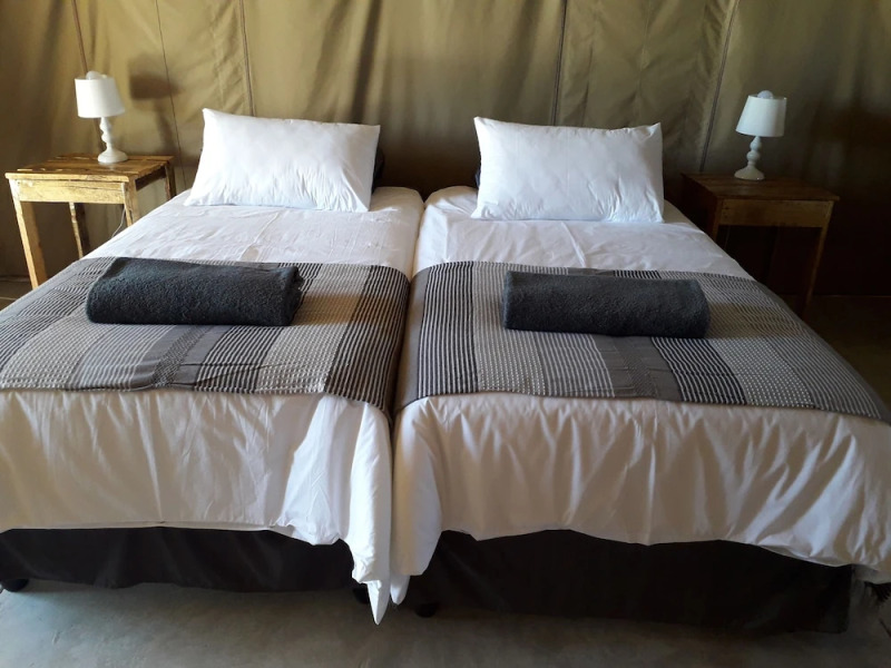 Blue Bushman Luxury Tented Lodge