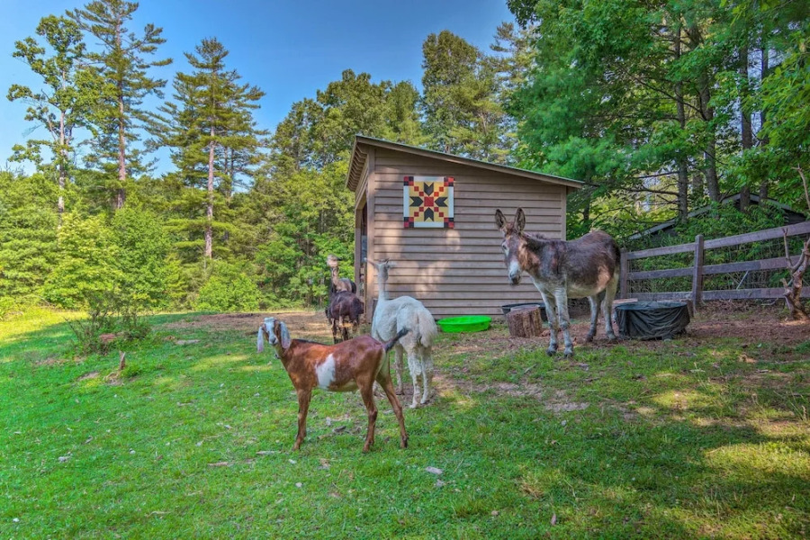Rustic & Authentic Farm Stay by Dupont Forest!