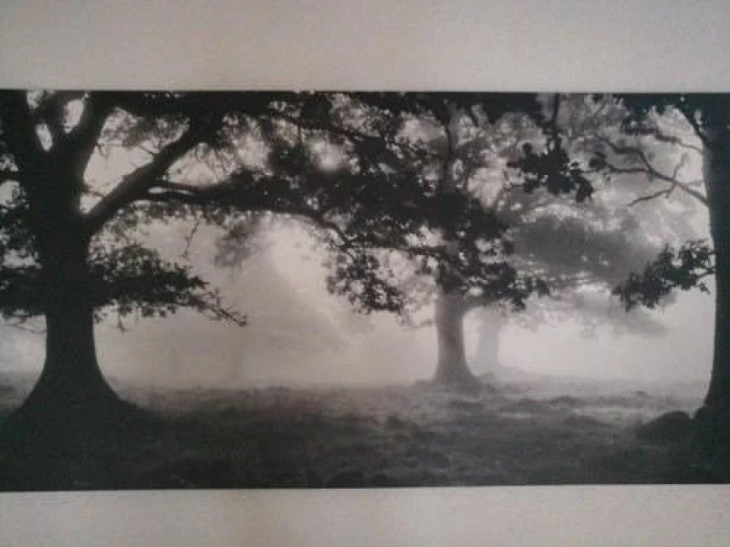 Appartement Lardenbach