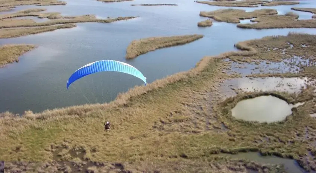 princess of caunos