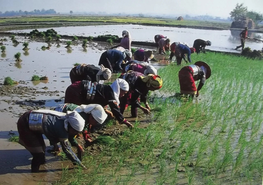 Harry'S Trekking House & Adventure Tours