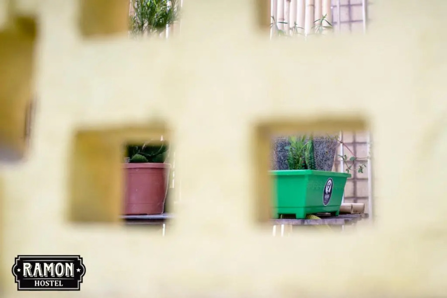 Ramon Hostel Bar