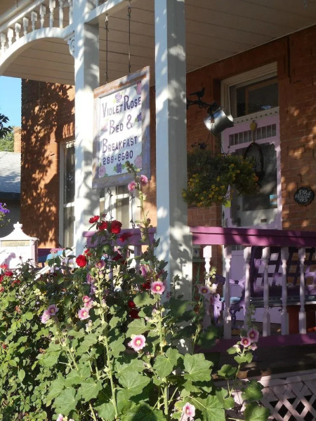 Violet Rose B&B