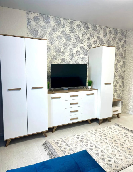 Апартаменты на улице Ефремова 92