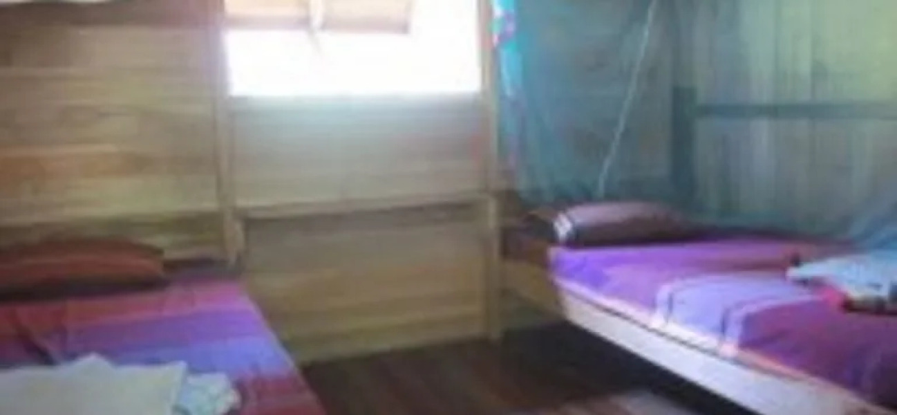 Treetops Jungle Lodge