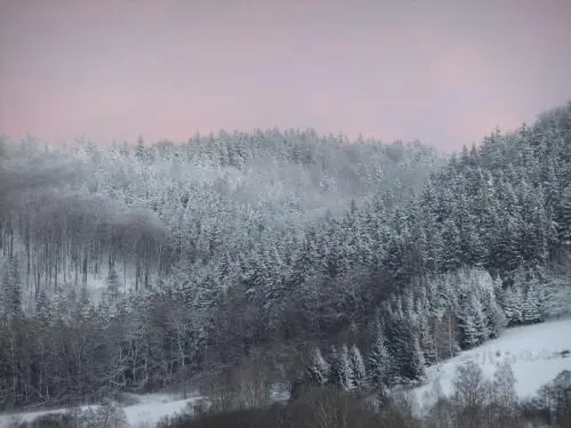 Rezydencja Terra Sudeta