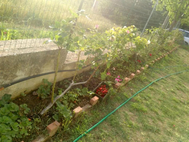 Villetta San Giovanni