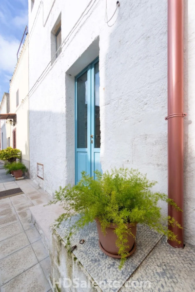 Holidays Dream Francesca