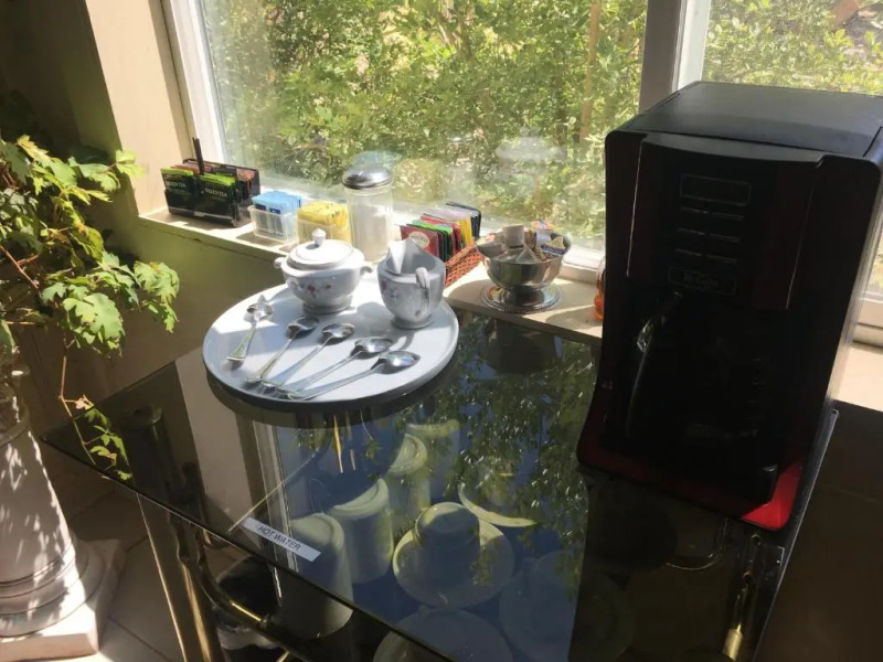 Shady Lady Bed  Breakfast