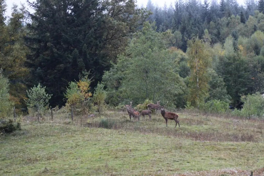 Haut Pre de Ces Dames