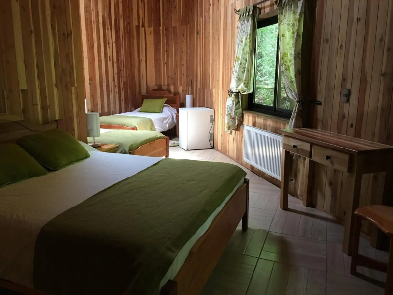 Complejo Turistico Pucon