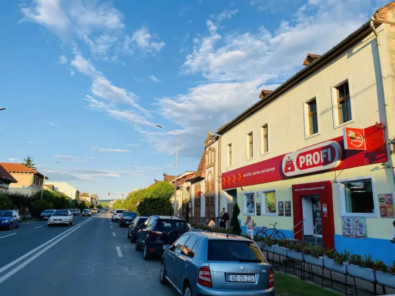 Central Apartment with Garden in Blaj