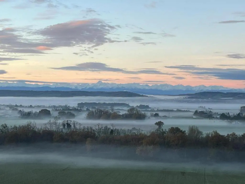Domaine de Quintalone