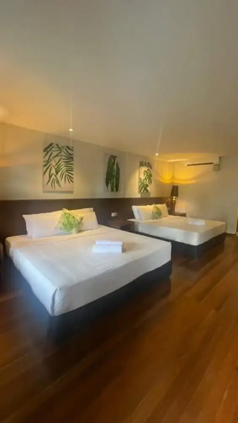 Arwana Perhentian Bluestar