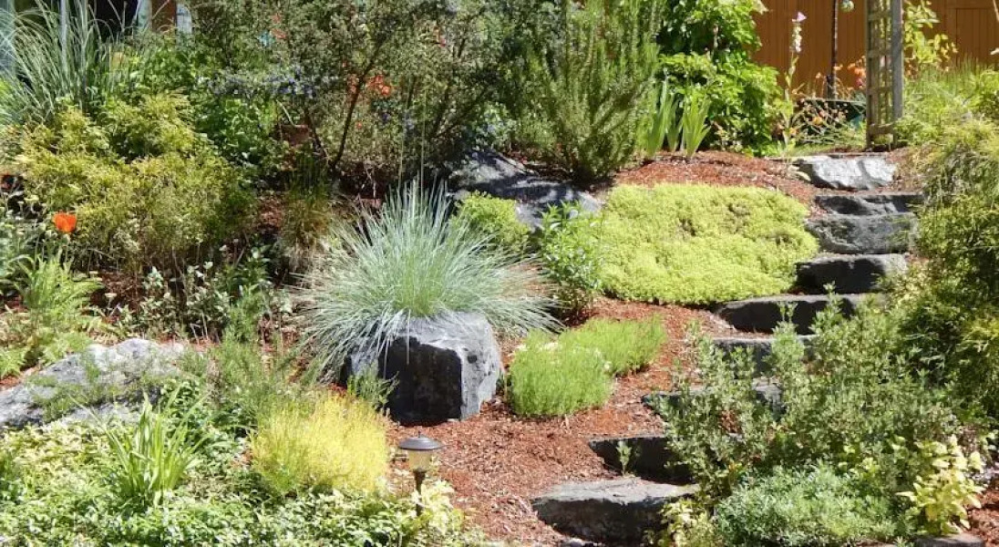 Green Cat Guest House