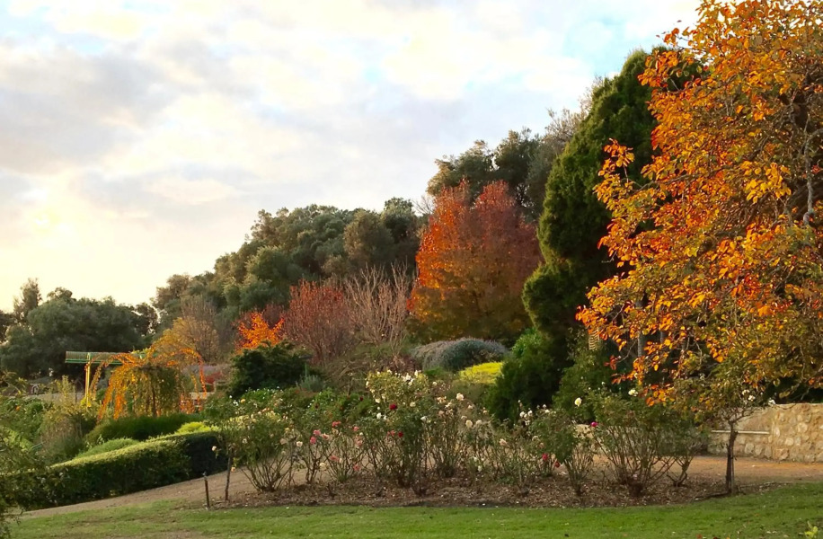 The Garden Cottage at The Olives