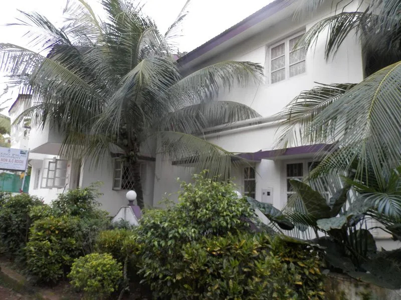 Sugarplum Macedo Palms