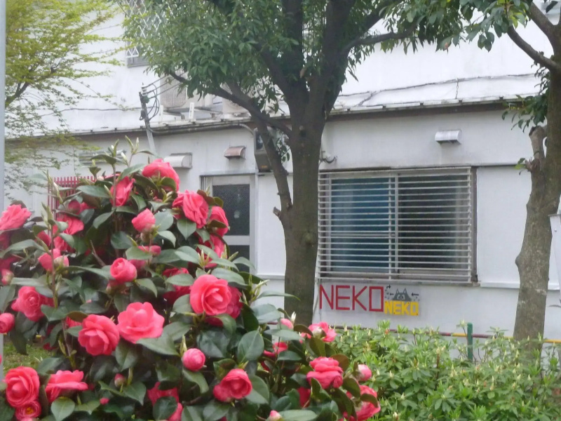 Guesthouse Neko Neko – Hostel