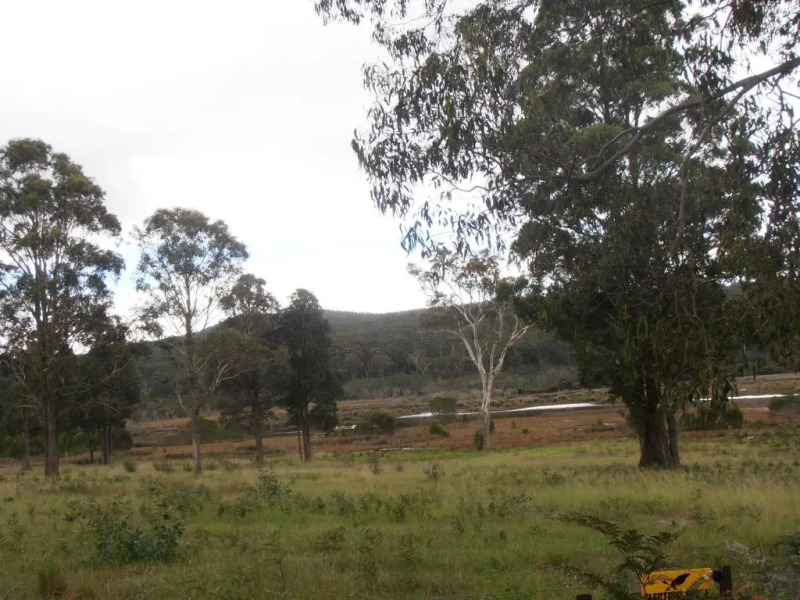 Top of the Lake Units