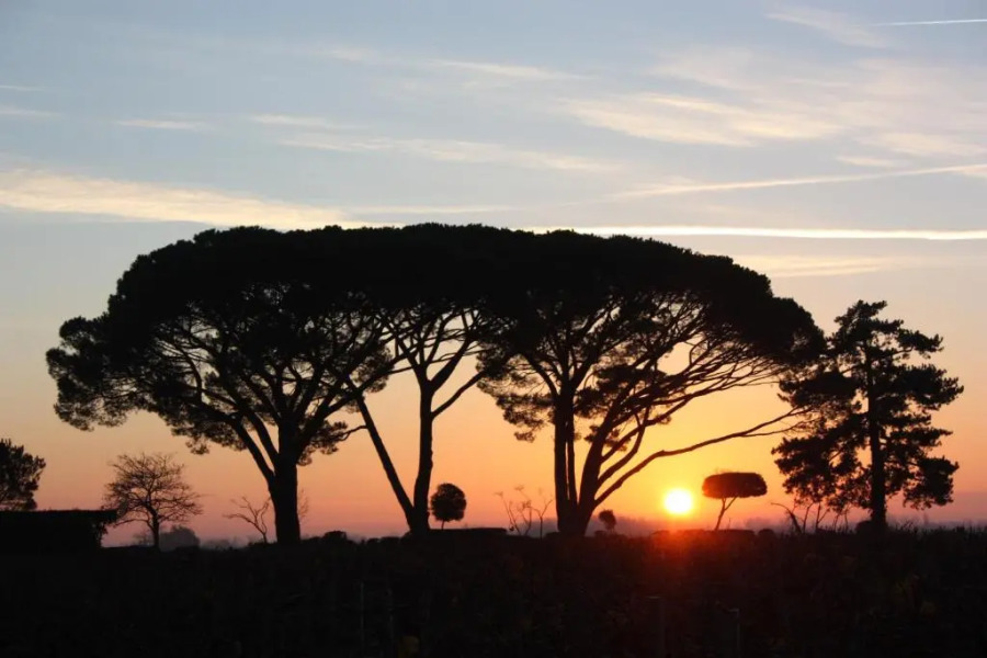 CHASSE-SPLEEN Les Chambres