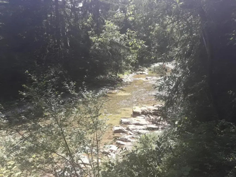 U Anastasii i Sofii bilya richki