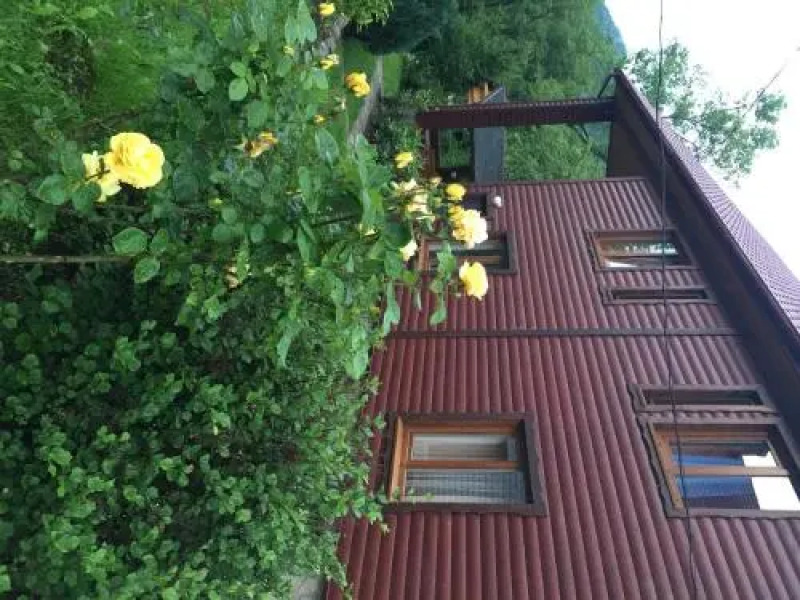 Guest house Nad Tisou