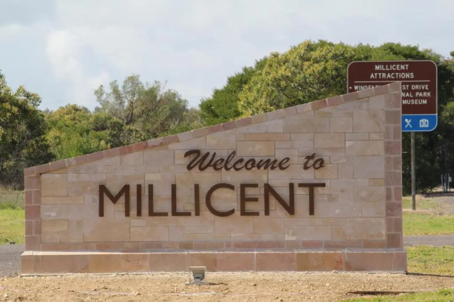 Sandpipers at Millicent