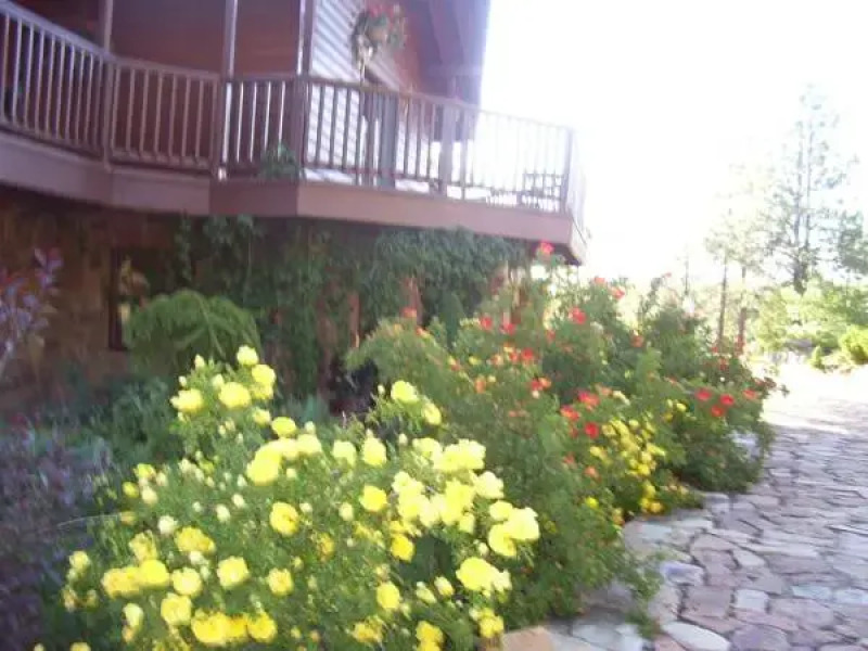 Barn Studios at Canyon Crest Lodge