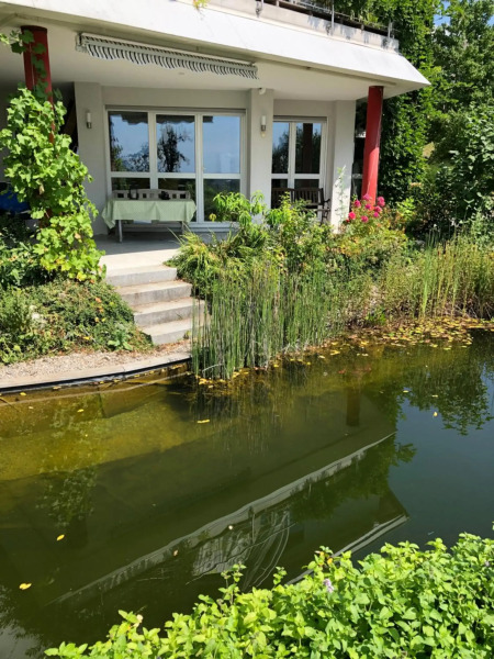 Apartment Green Elephant