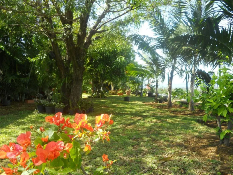 Les Hibiscus de la Rivière