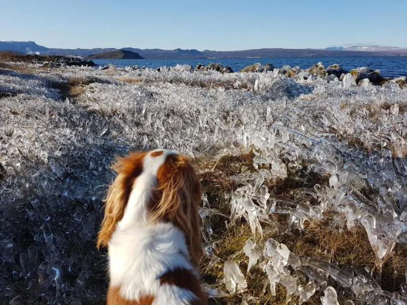 Lake Thingvellir Cottages
