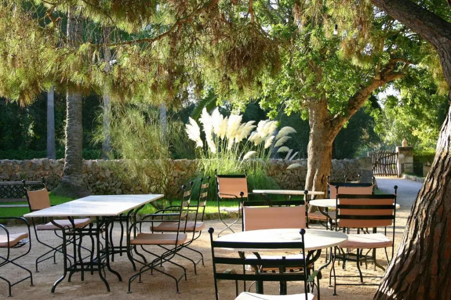 Petit Hotel Es Figueral