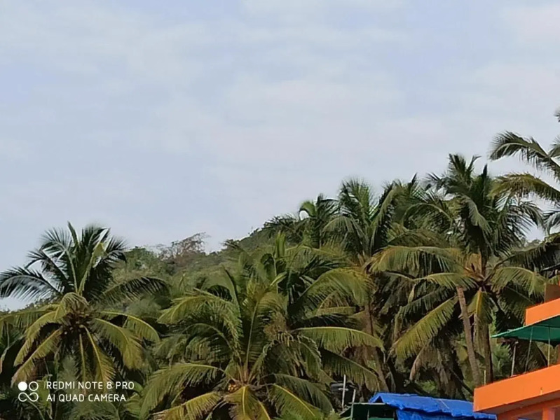 Goroomgo Om Ganesh Naik Cliff Side Guest House Goa