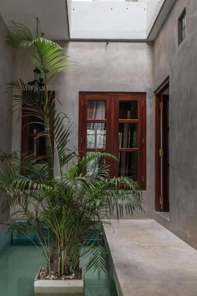 Coconut Surf Inn