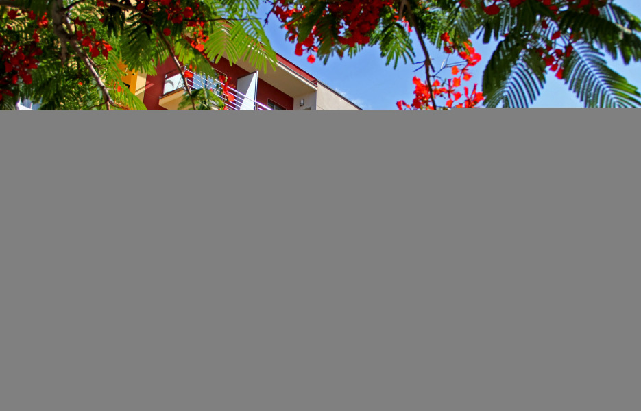 Apartamentos Dracaena