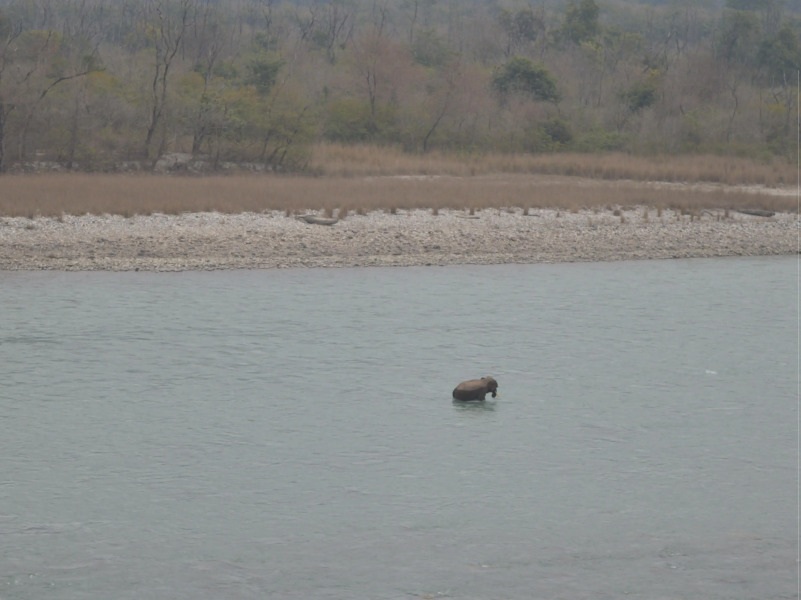 Soank Paradise - The Boutique Hotel