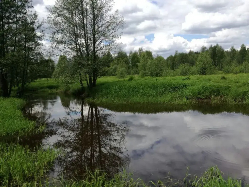 Guest House Sosnovaya Alleya