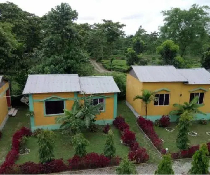 Mystic resort amidst Tea Garden