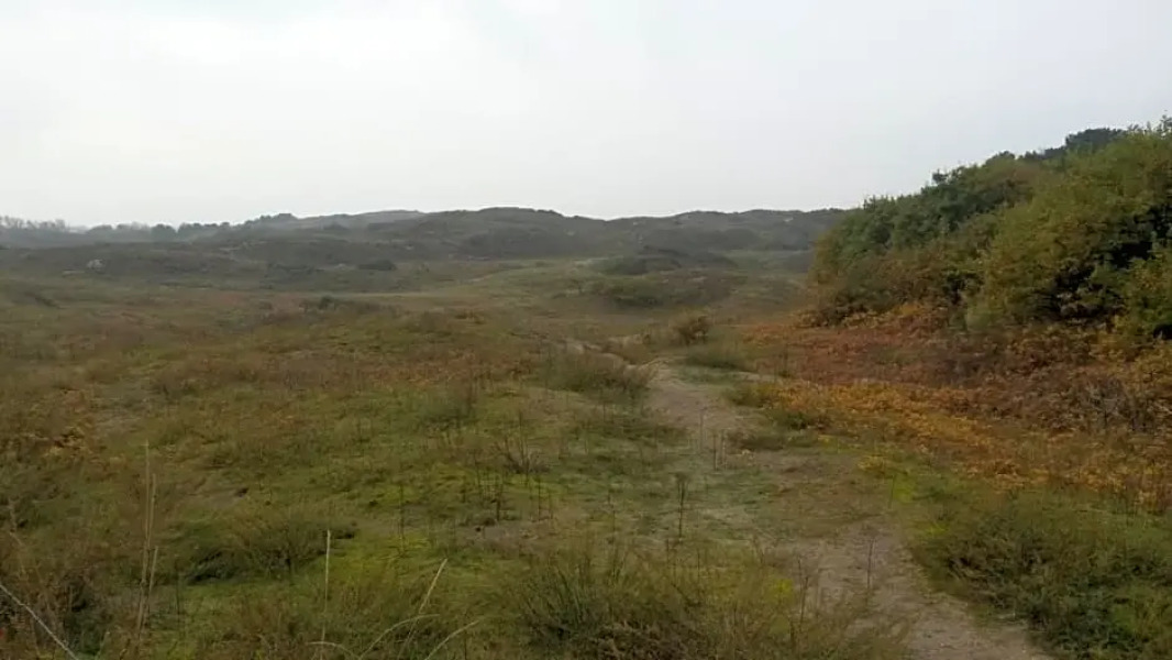 B&B Noordwijk Binnen