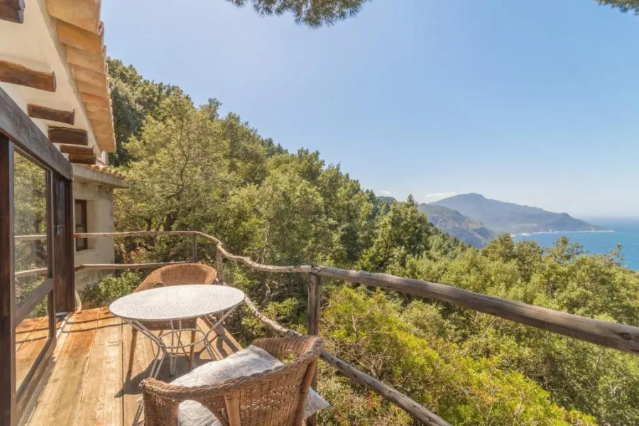 Valldemossa - 265998