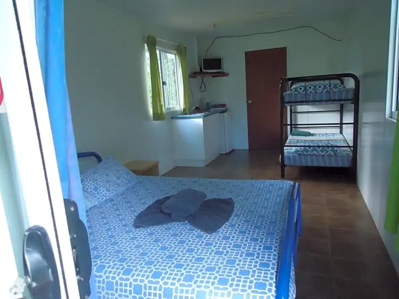 Pandanus on Litchfield